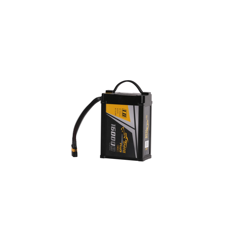 Item Smart Battery 16000 C10